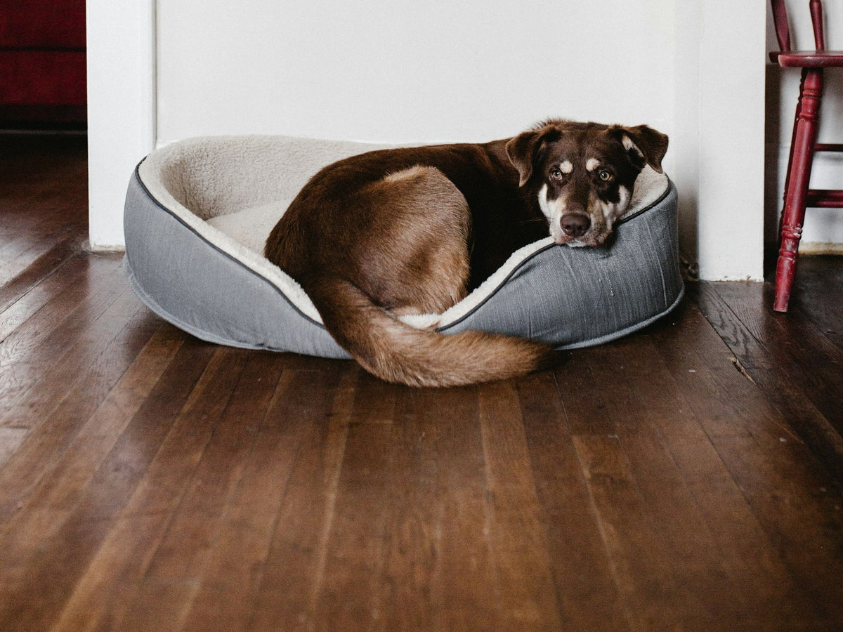 Beds & Rest at Elevyt