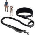 Elevyt Bight Hands-Free Waist Lead & Belt