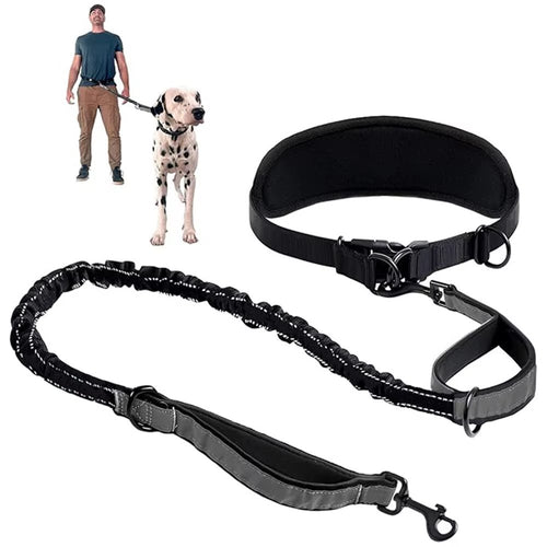 Elevyt Bight Hands-Free Waist Lead & Belt