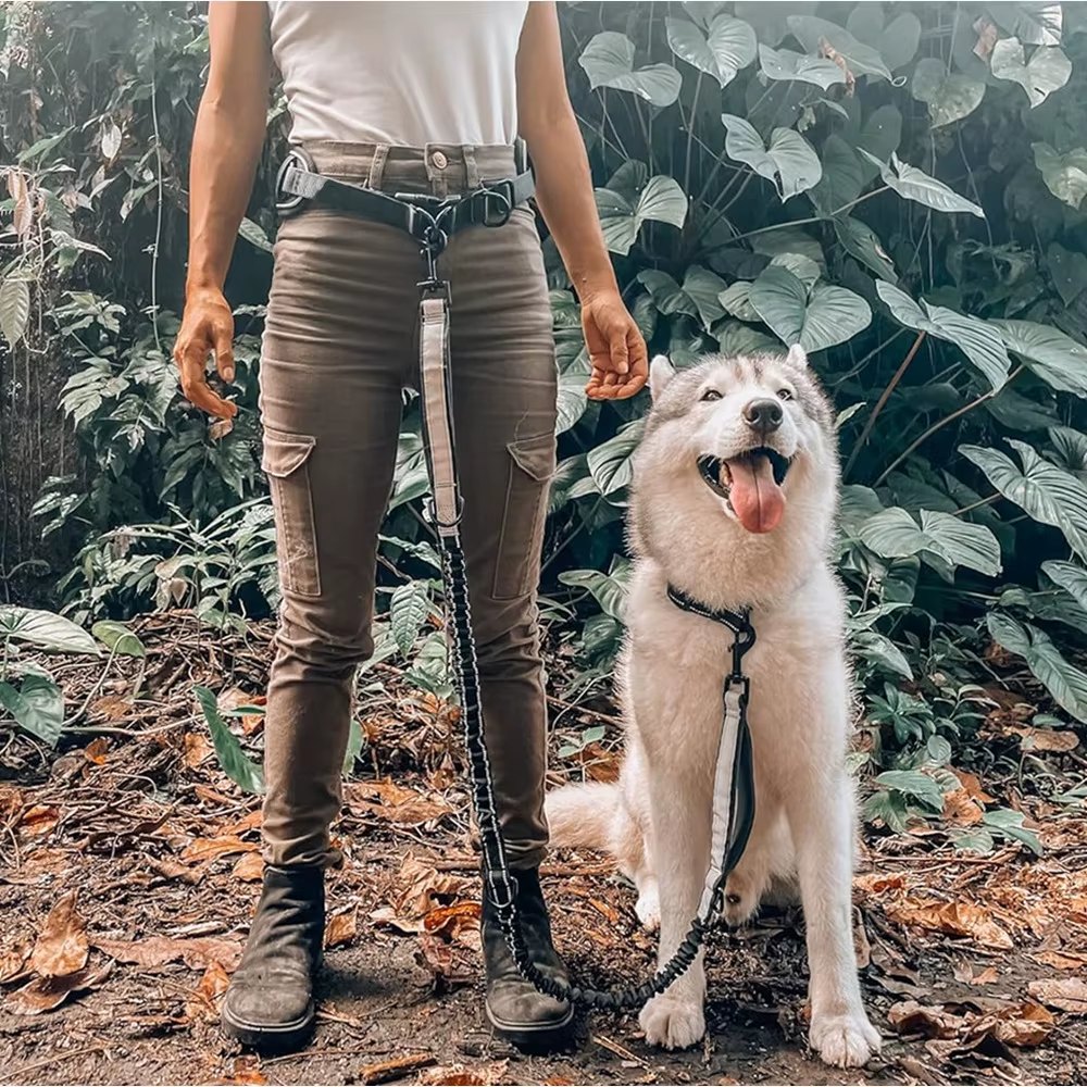 Elevyt Bight Hands-Free Waist Lead & Belt