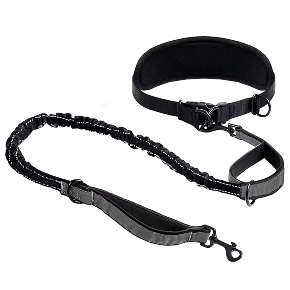 Elevyt Bight Hands-Free Waist Lead & Belt