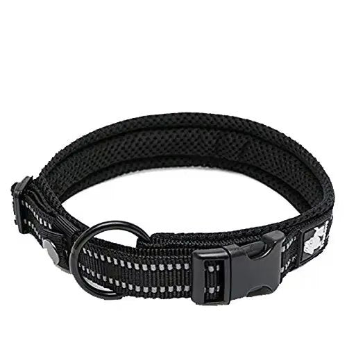 Elevyt Breakwater Padded Reflective Collar