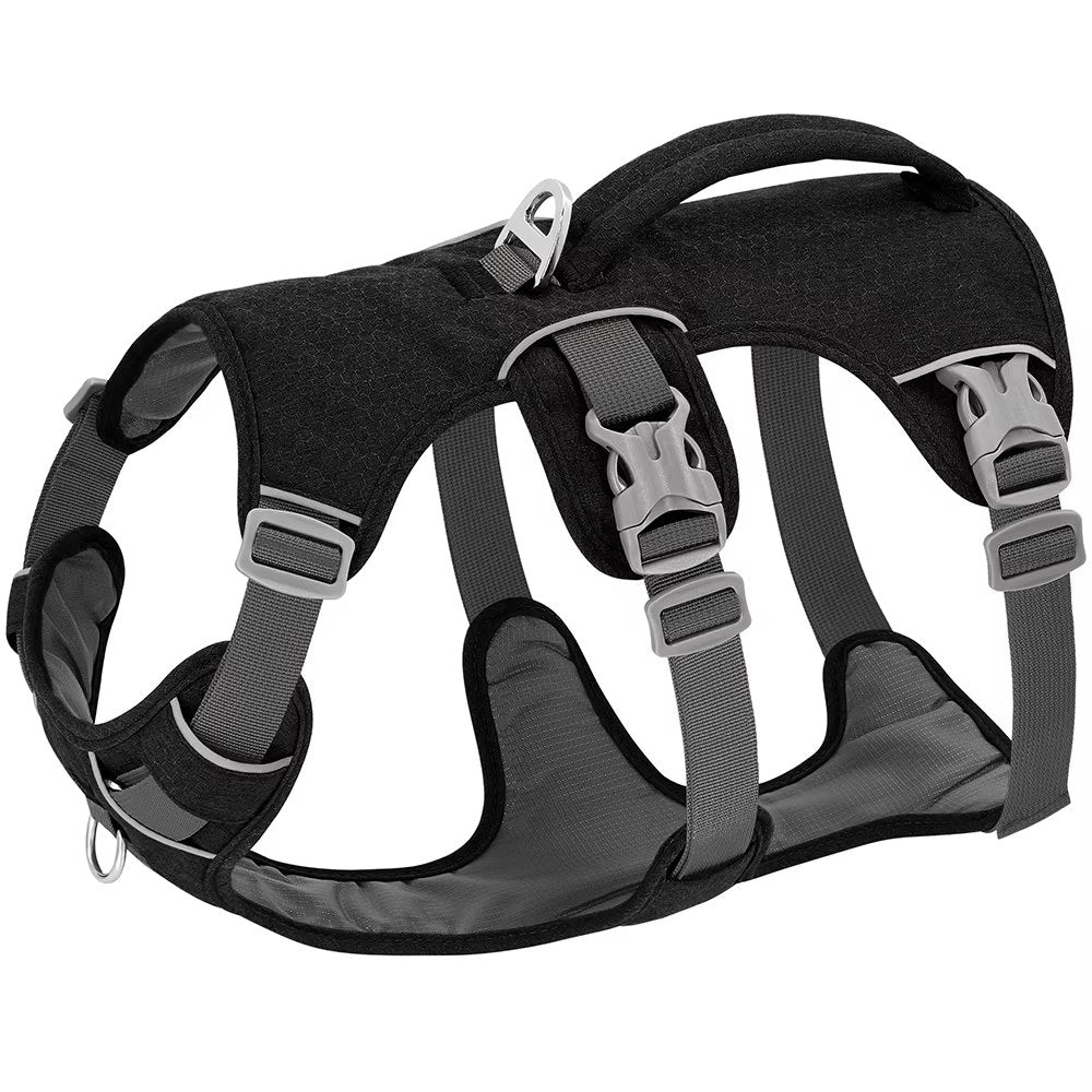 Elevyt Dune Everyday Reflective Dog Harness