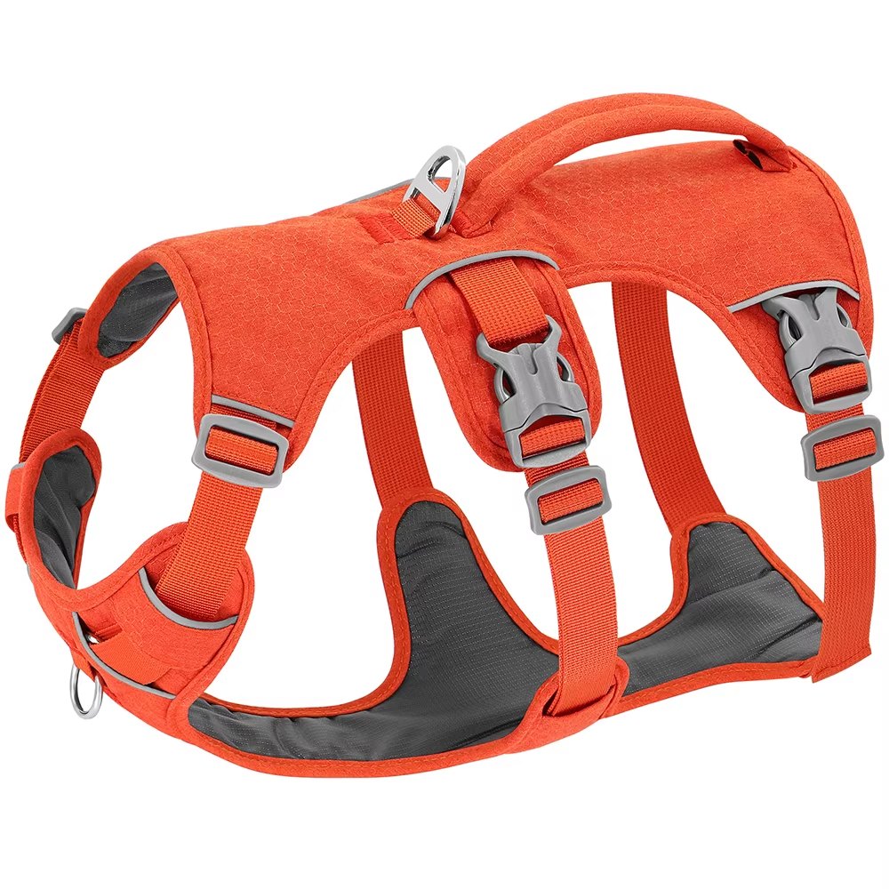 Elevyt Dune Everyday Reflective Dog Harness