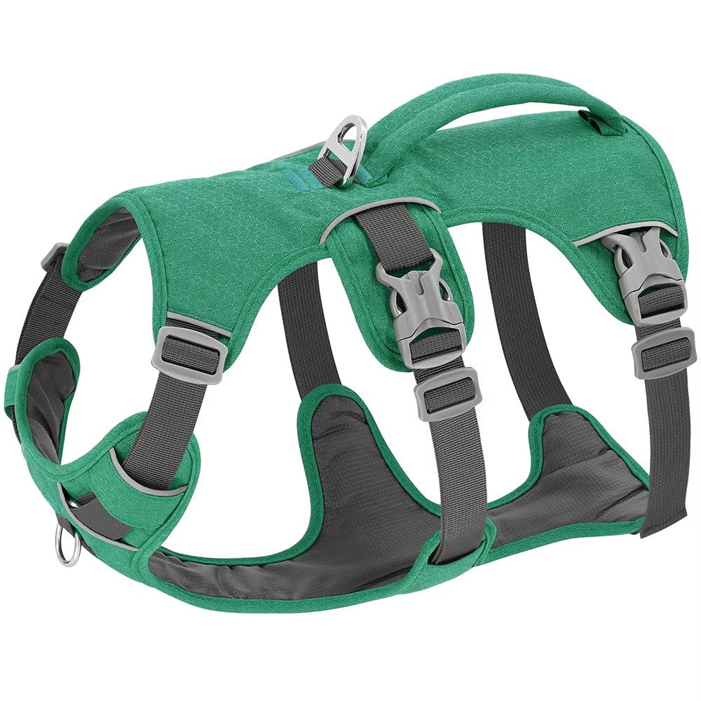 Elevyt Dune Everyday Reflective Dog Harness