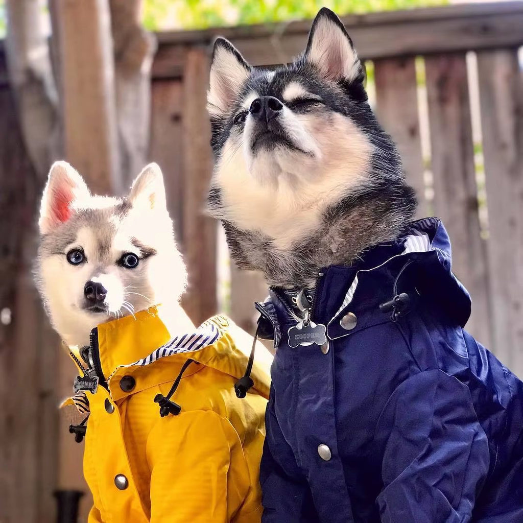Elevyt Knot Hooded Rain Jacket