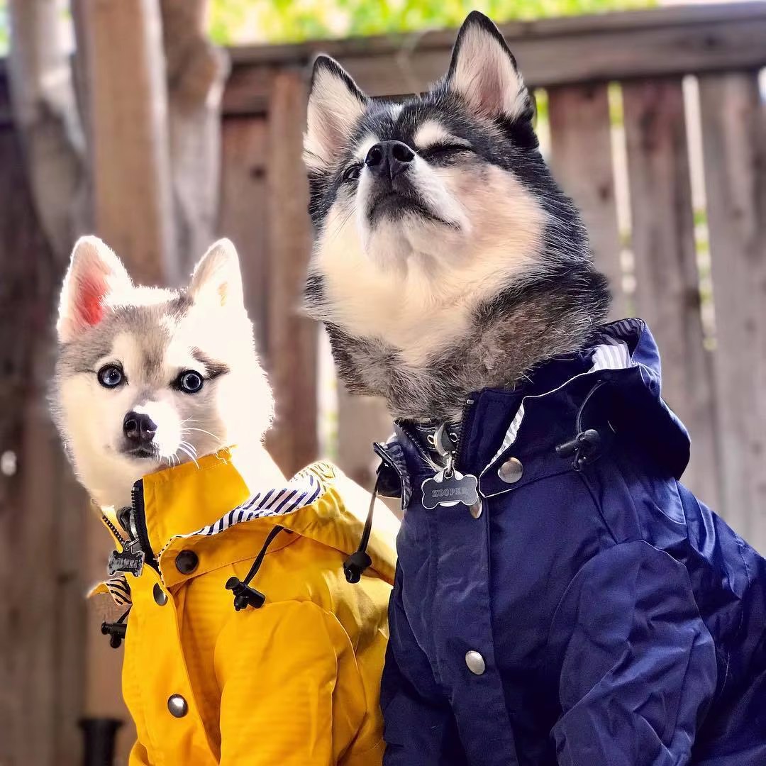 Elevyt Knot Hooded Rain Jacket