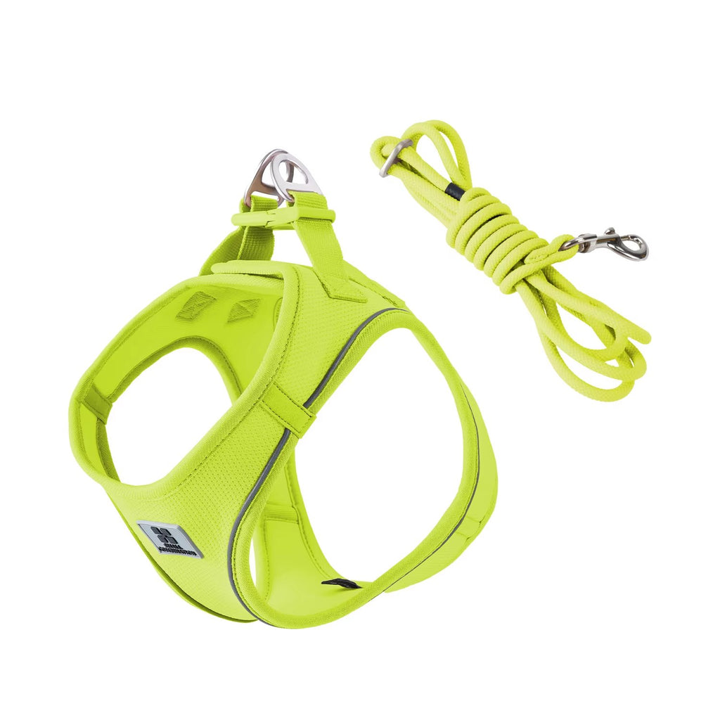 Elevyt Marram Lightweight Harness & Lead Set