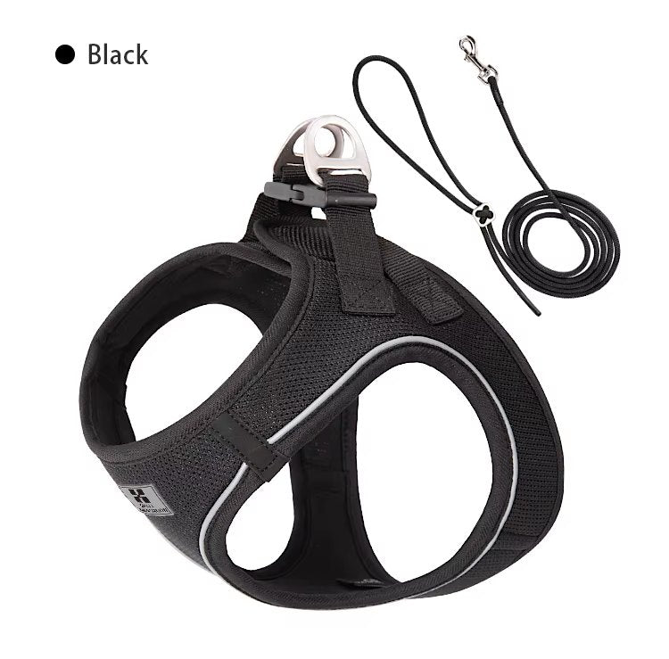 Elevyt Marram Lightweight Harness & Lead Set