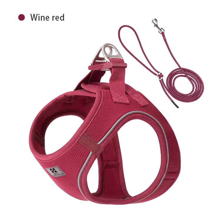 Elevyt Marram Lightweight Harness & Lead Set