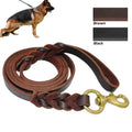 Elevyt Spindrift Braided Leather Lead