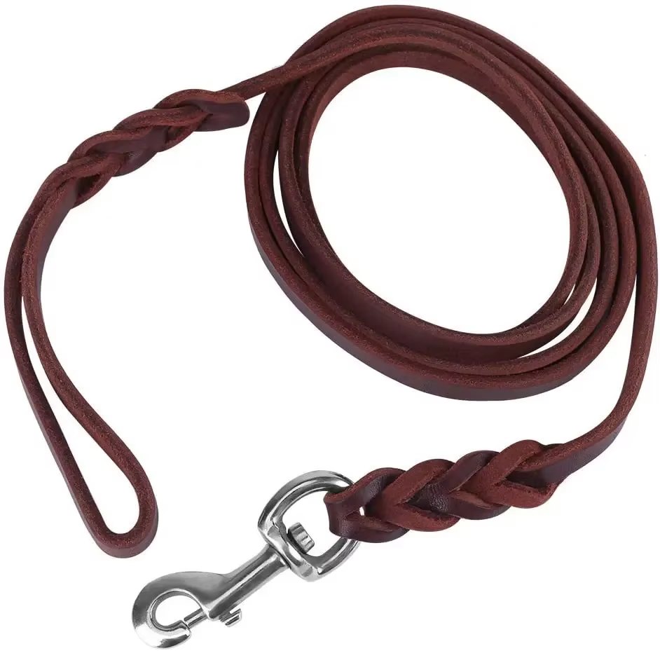 Elevyt Spindrift Braided Leather Lead