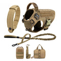 Elevyt Tide Training Vest Harness & Lead Set