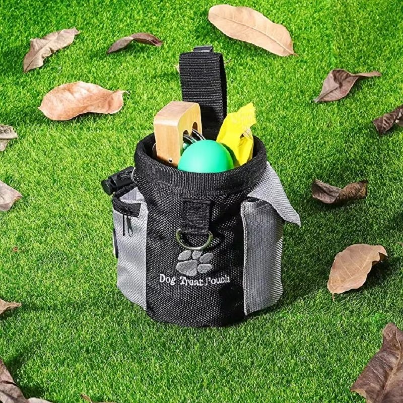 Elevyt Windward Training Pouch
