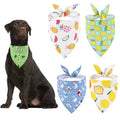 Elevyt Yawl Washable Dog Bandana