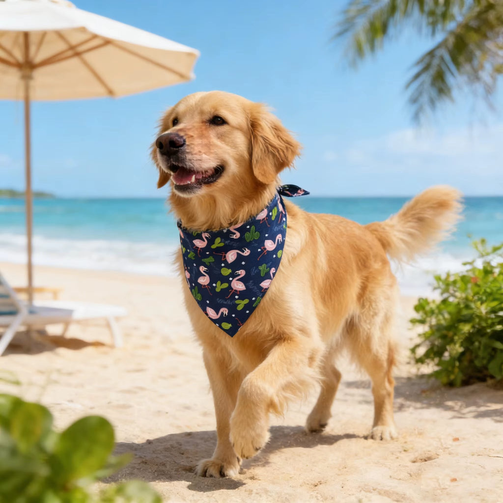 Elevyt Yawl Washable Dog Bandana