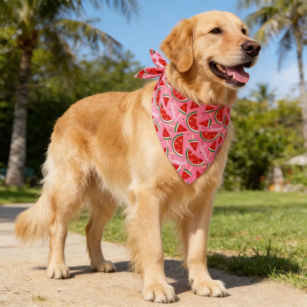 Elevyt Yawl Washable Dog Bandana