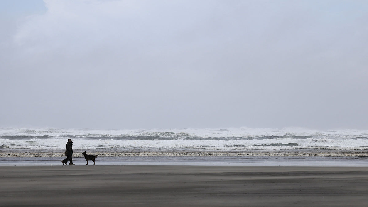 A person walking a dog along the tide line on an overcast beach