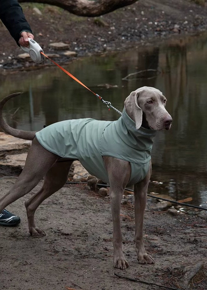 A dog in a waterproof coat on a lead at the edge of an estuary